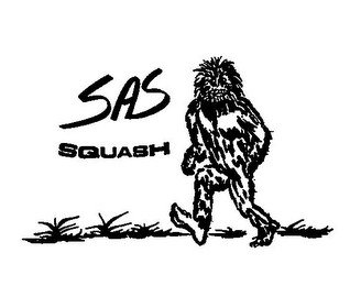 SAS SQUASH