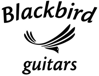 BLACKBIRD GUITARS