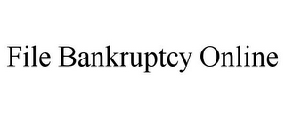 FILE BANKRUPTCY ONLINE