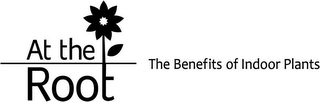 AT THE ROOT THE BENEFITS OF INDOOR PLANTS
