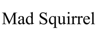 MAD SQUIRREL