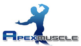 APEX MUSCLE