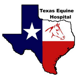 TEXAS EQUINE HOSPITAL