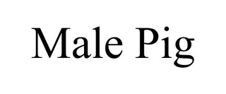 MALE PIG