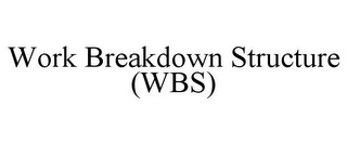 WORK BREAKDOWN STRUCTURE (WBS)