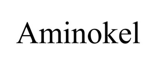 AMINOKEL