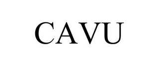 CAVU