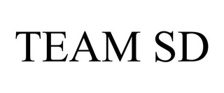 TEAM SD