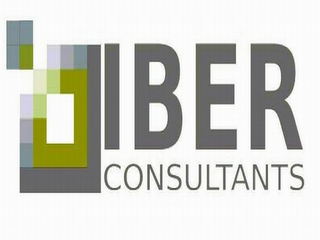 IBER CONSULTANTS