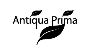 ANTIQUA PRIMA