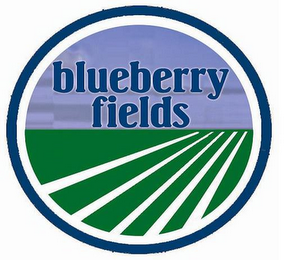 BLUEBERRY FIELDS