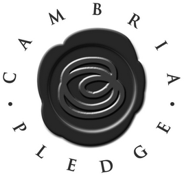 · CAMBRIA · PLEDGE