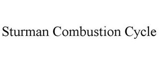 STURMAN COMBUSTION CYCLE