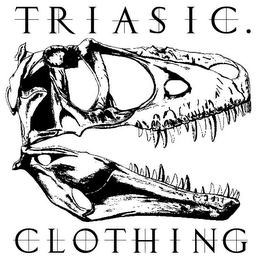 TRIASIC.CLOTHING