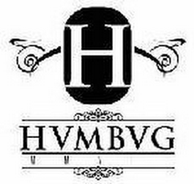 H HVMBVG