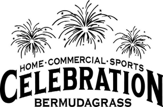 HOME COMMERCIAL SPORTS CELEBRATION BERMUDAGRASS