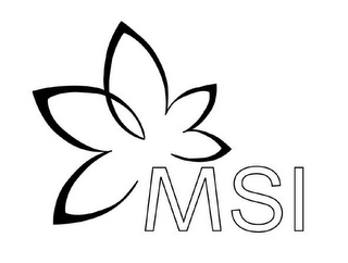 MSI