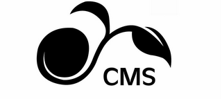 CMS