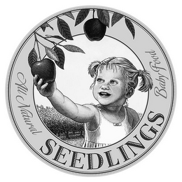 SEEDLINGS ALL NATURAL BABY FOOD