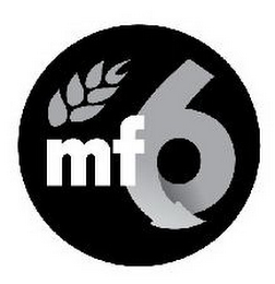 MF 6