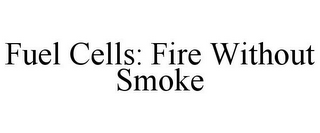 FUEL CELLS: FIRE WITHOUT SMOKE