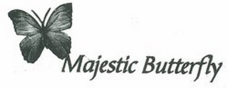 MAJESTIC BUTTERFLY