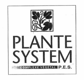 PLANTE SYSTEM COMPLEXE VEGETAL P.E.S.