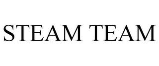STEAM TEAM