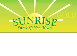 SUNRISE GOLD SWEET GOLDEN MELON