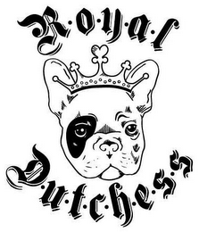 ROYAL DUTCHESS