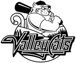 VALLEYCATS