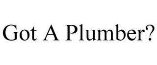 GOT A PLUMBER?