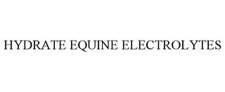 HYDRATE EQUINE ELECTROLYTES