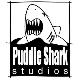 PUDDLE SHARK STUDIOS