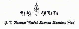 G.T. NATURAL HERBAL SCENTED SANITARY PAD