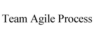 TEAM AGILE PROCESS