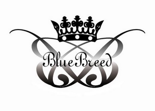 BB BLUE BREED