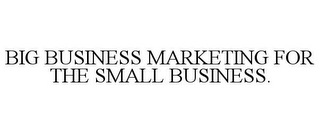 BIG BUSINESS MARKETING FOR THE SMALL BUSINESS.