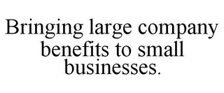 BRINGING LARGE COMPANY BENEFITS TO SMALL BUSINESSES.