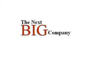 THE NEXT BIG COMPANY