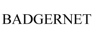 BADGERNET
