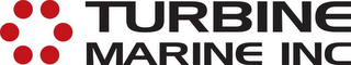 TURBINE MARINE INC