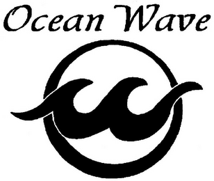 OCEAN WAVE