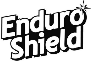 ENDURO SHIELD