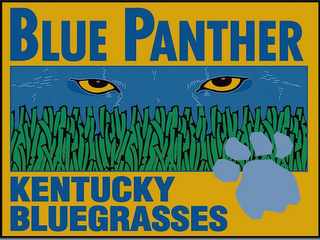 BLUE PANTHER KENTUCKY BLUEGRASSES