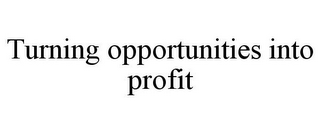 TURNING OPPORTUNITIES INTO PROFIT