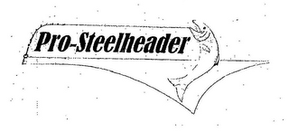 PRO-STEELHEADER