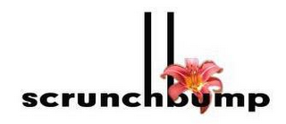 SCRUNCHBUMP