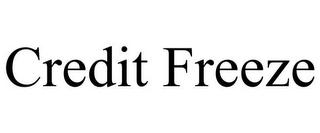 CREDIT FREEZE