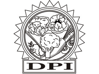 DPI